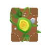 Codex Vitae game icon