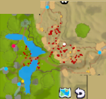 Forest Field 1 game map